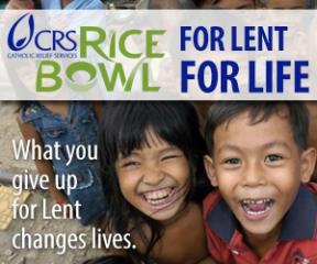 2013 CRS Operation Ricebowl Banner 2013 CRS Operation Ricebowl Banner
